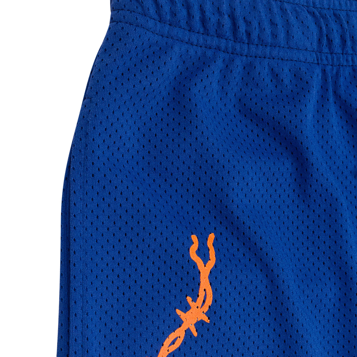BAT REAPER MESH PURPLE SHORTS